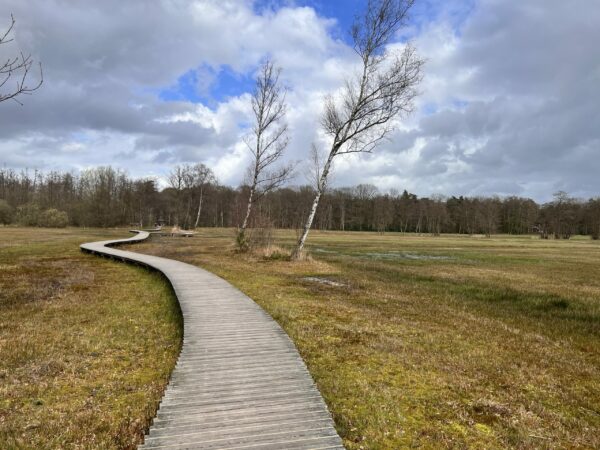 Register/Pay Deposit for Logosynthesis® 
International Master Lab May 2025