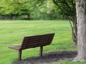empty bench in the park